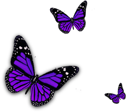 Lupus Butterfly Logo - Spread The Word