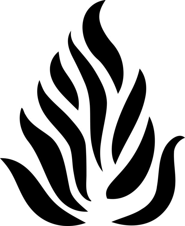 Black and White Flame Logo - Computer Icons Black & White Flame Fire Combustion free commercial ...