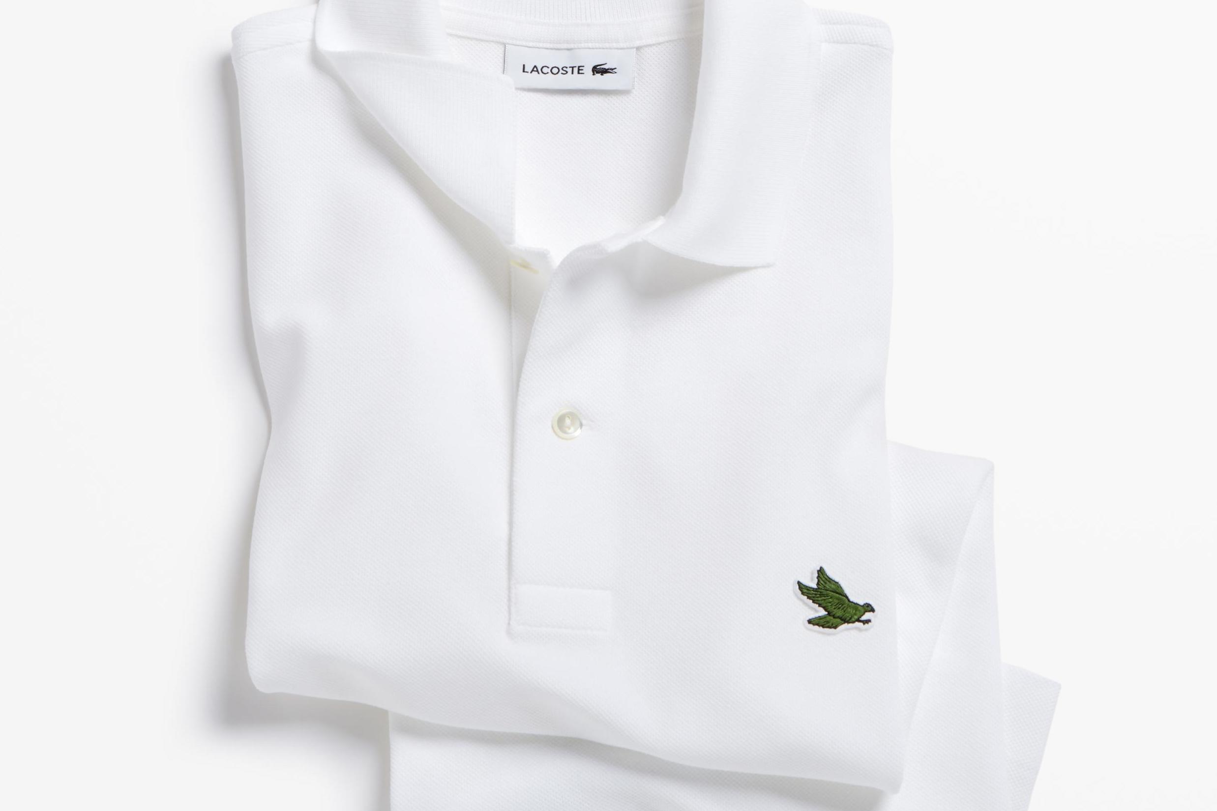 Alligator Polo Shirts with Logo - Lacoste replaces iconic crocodile logo with endangered species as ...