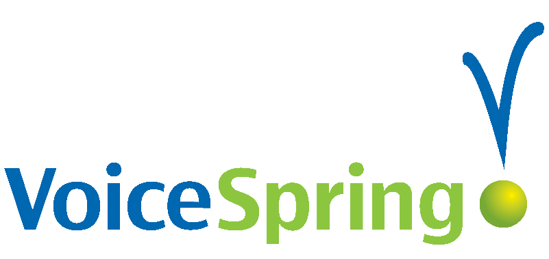 Google Voice Home Logo - Voice Spring |