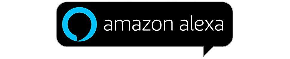 Google Voice Home Logo - Amazon.com: Nucleus Anywhere Intercom with Amazon Alexa, 2 Pack ...