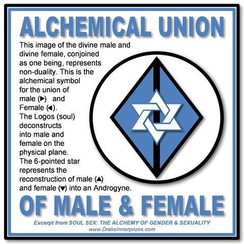 Female Star Logo - Graphic Dictionary of Gender and Sexuality Symbols | Bear With Me
