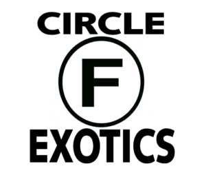 Circle F Logo - Live Sale F Adventures