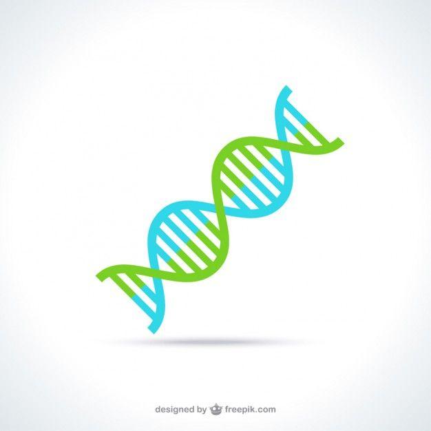 DNA Blue and Green Spiral Logo - Dna Vectors, Photo and PSD files