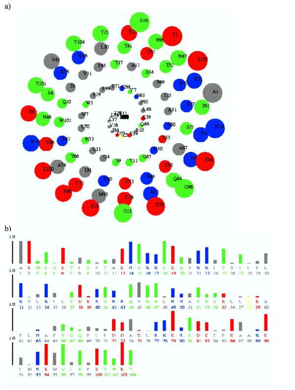 DNA Blue and Green Spiral Logo - ASAView of a DNA binding protein (PDB code 1CMA chain A). (a) The ...