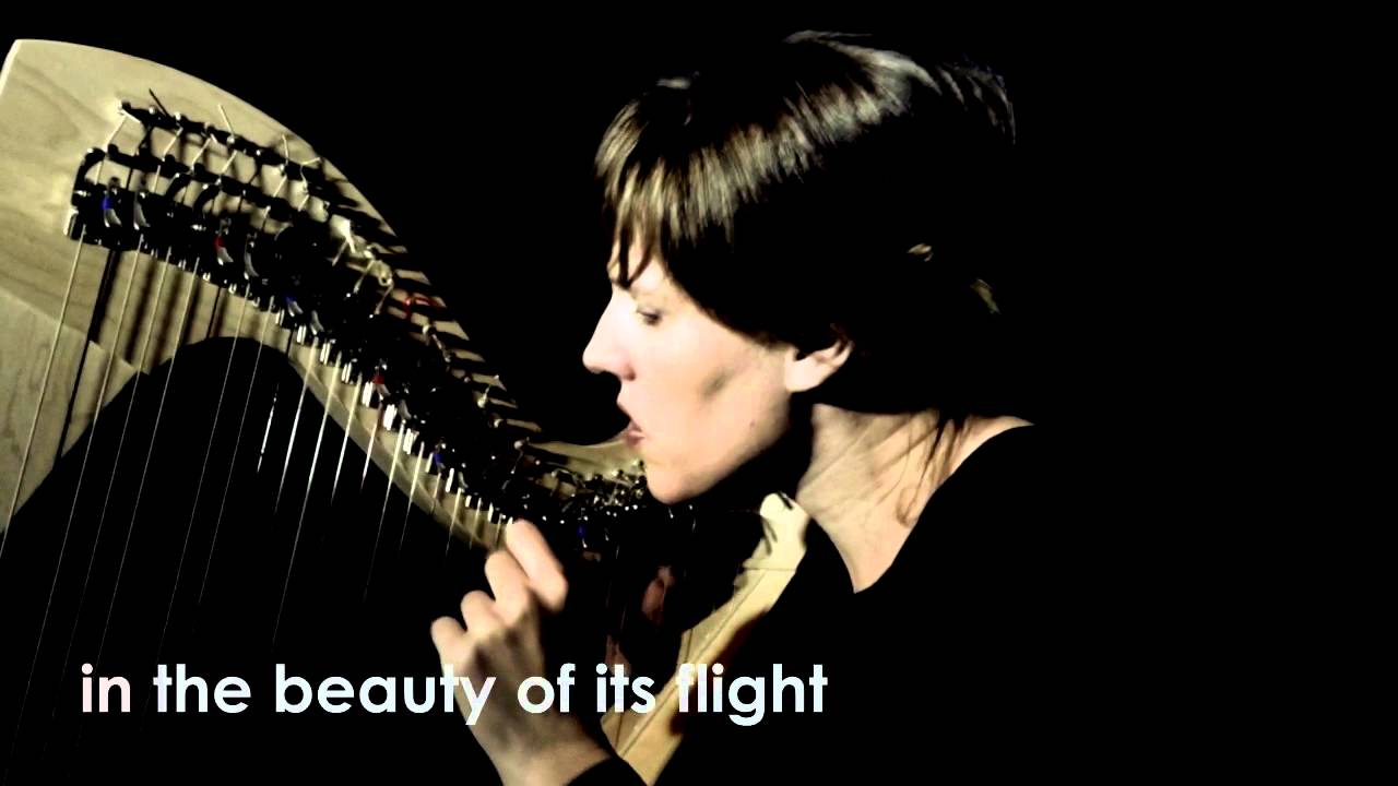 Flying Harp Logo - A Bird Came Flying - ANNE - vanschothorst - HARP - YouTube