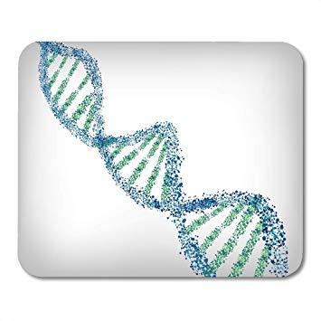 DNA Blue and Green Spiral Logo - Amazon.com : VANKINE Mouse Pads Helix DNA Green Blue Spiral Biology