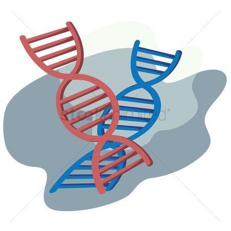 DNA Blue and Green Spiral Logo - Free Dna Spiral Stock Vectors | StockUnlimited