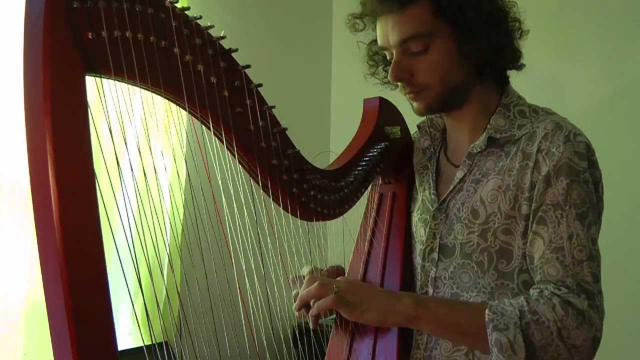 Flying Harp Logo - I feel different - harp, electro, djembé, flute Jury Award Winner of ...