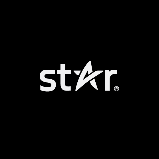 White Star Logo - star logos that shine bright