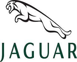 Jaguar Logo - Jaguar Logo, History Timeline and Latest Models