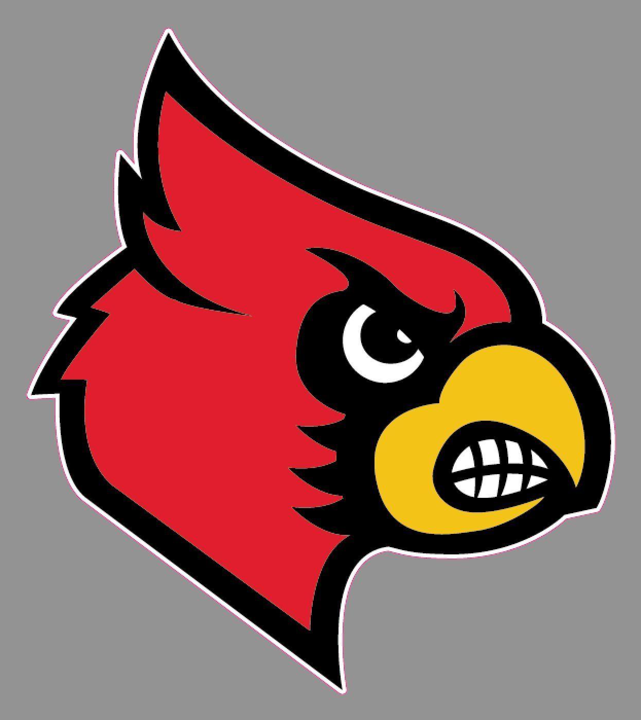 Cardinal Windows Logo - Louisville Cardinals Sticker for Cars x 6 Size