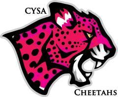 Blue Cheetah Logo - 04 Girls Blue - Cheetahs