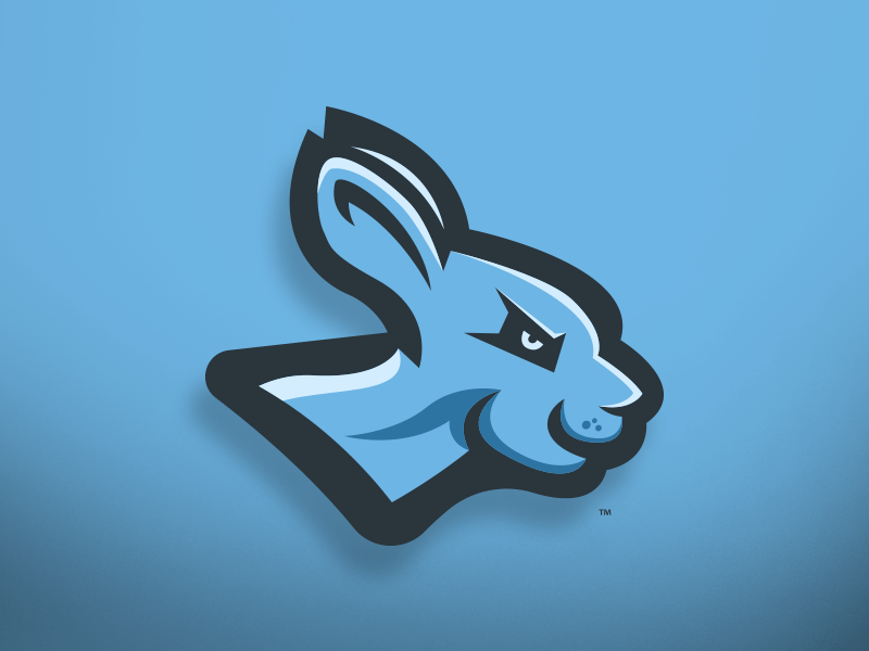 And Symbol with Blue Kangaroo Logo - Kangaroo Logo Design