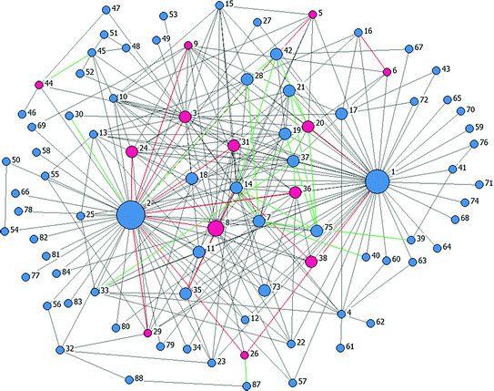 Woman with Red Lines Logo - The Blackbird network including affective ties (red lines) and ...