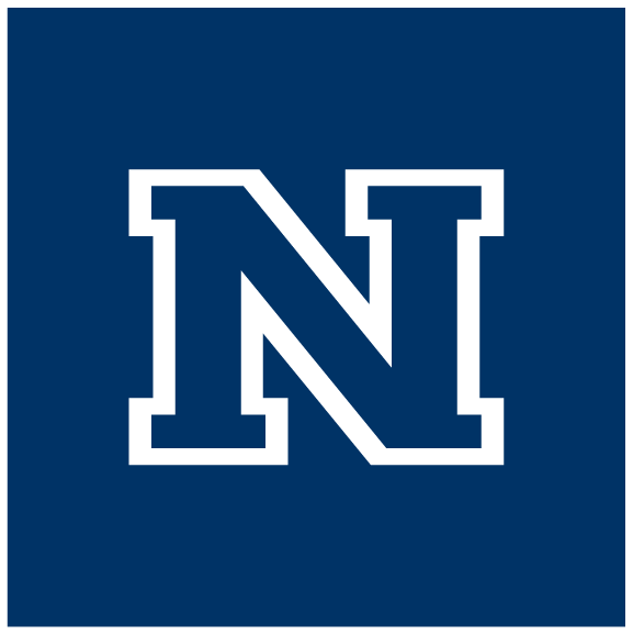 Blue N Logo - Downloading Logos