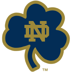 Dame Logo - Notre Dame Fighting Irish Alternate Logo | Sports Logo History