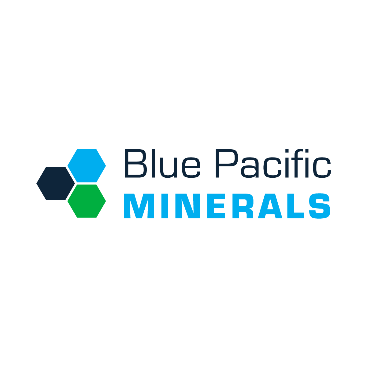 U.S. Minerals Company Logo - Zeolite And Perlite Minerals And Products NZ | BPM