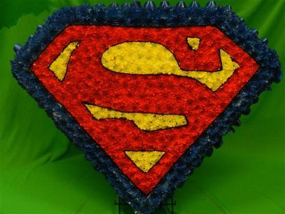 Superman Flower Logo - Superman Logo Funeral Tribute- could use flowers instead?. floral