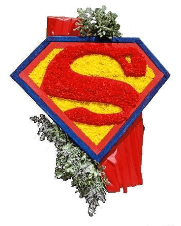 Superman Flower Logo - Superman Logo in Connecticut! -The Orchid Florist