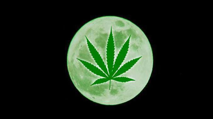 Green Moon Logo - This Viral Green 4/20 Moon Meme Is Everything That's Wrong with the ...