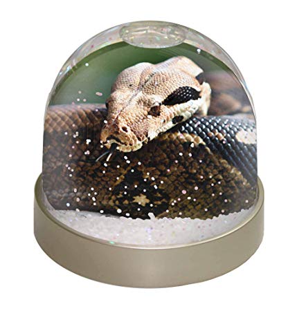 Snake with Globe Logo - Advanta Group Boa Constrictor Snake Snow Dome Globe Waterball Gift ...