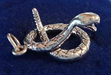 Snake with Globe Logo - Amazon.com: Shop Globe Sterling Silver 3D 20x15mm Diamondback ...