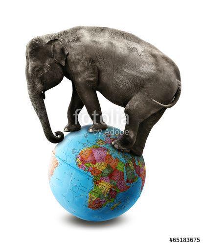 Elephant and Globe Logo - Isolated Elephant Africa Globe And Royalty Free Image