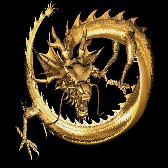 Maya Dragon Logo - Golden Chinese Dragon Animated & Rigged 3D model Maya files free