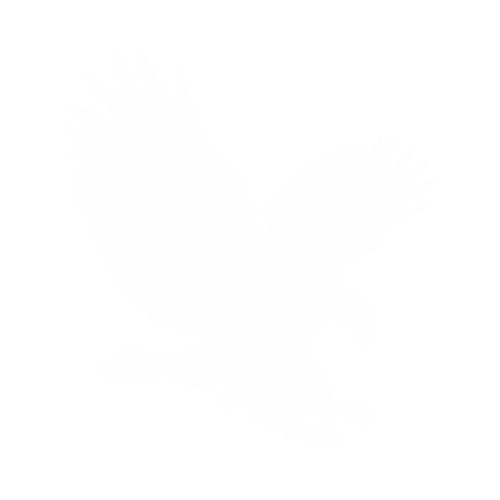 White Eagle Logo - Eagle Metals LLC