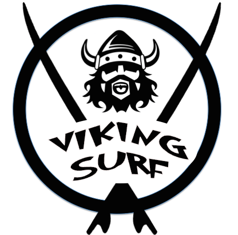 2017 Viking Logo