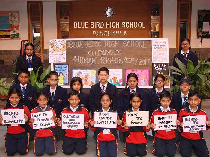 Blue Bird Day School Logo - Human Rights Day observed in Blue Bird High School – Citynews7.com