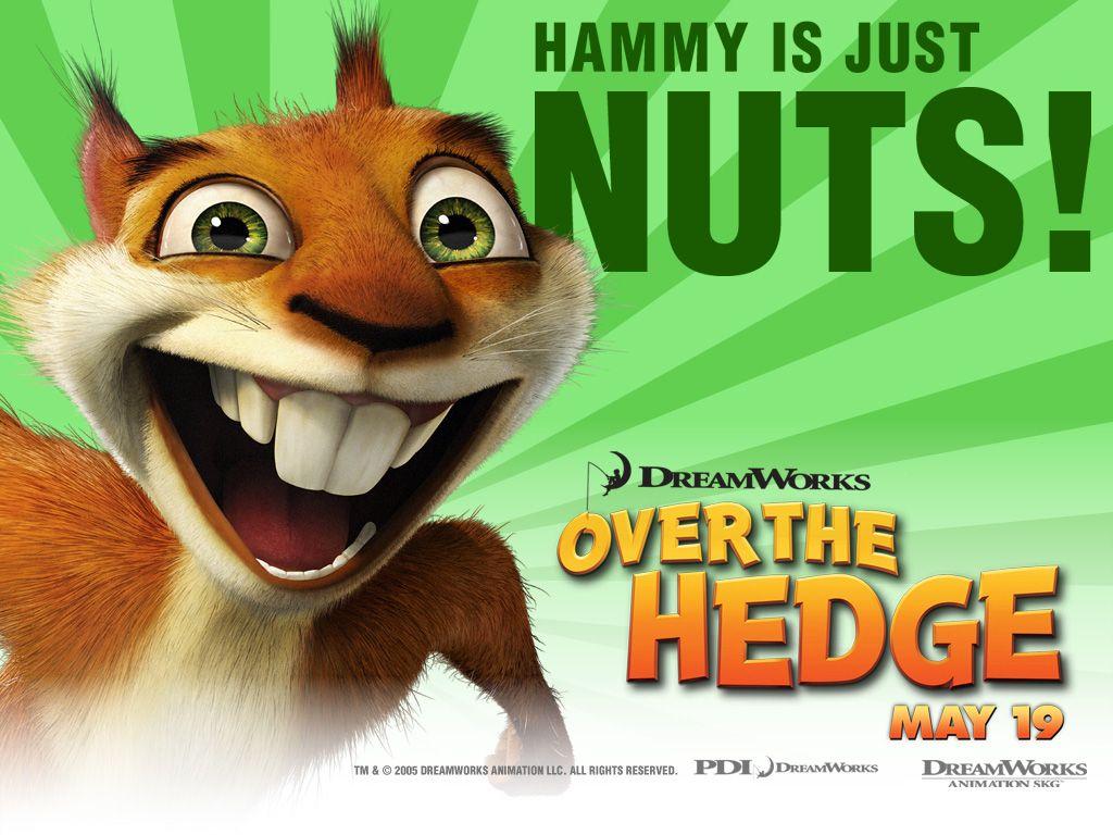 Over the Hedge DreamWorks Logo - Hammy-over-the-hedge-116958_1024_768 | CapeMay.com Blog