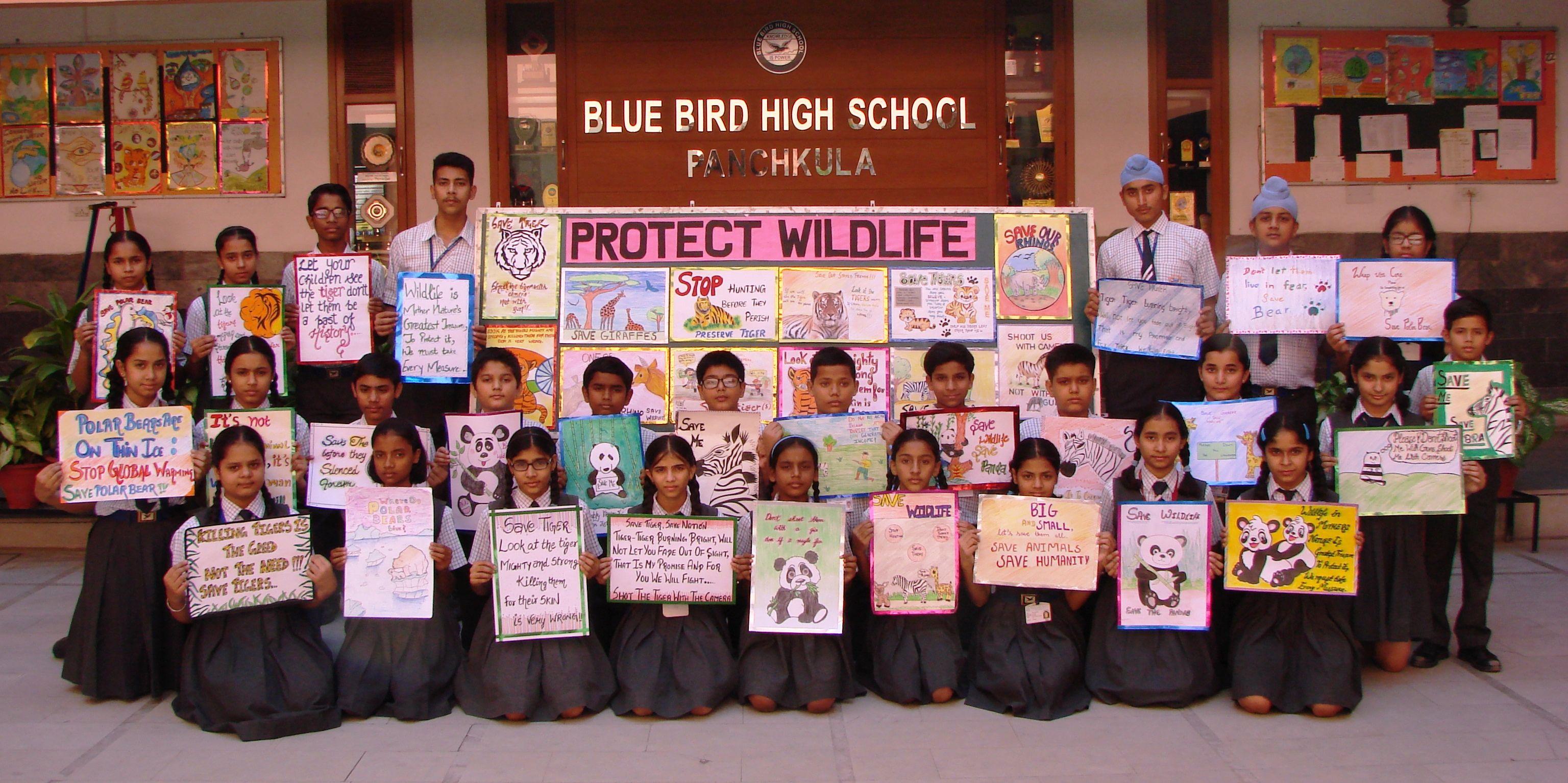 Blue Bird Day School Logo - BlueBird HighSchool