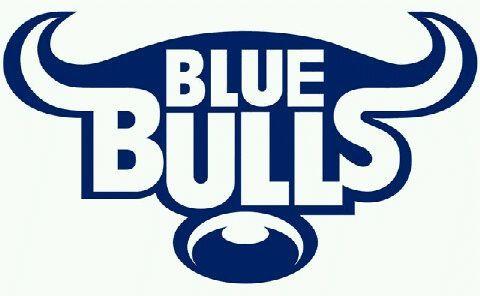 Blue Bull Logo - Blue Bulls image | Blue Bulls | Rugby, Super rugby, Rugby images
