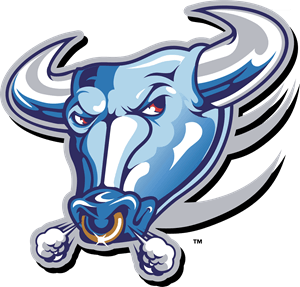 Blue Bull Logo - Bulls Logo Vectors Free Download
