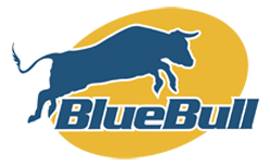 Blue Bull Logo - Welcome to BlueBull Marketing - Websites