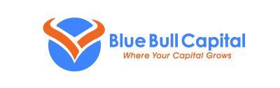 Blue Bull Logo - Home - Blue Bull Capital