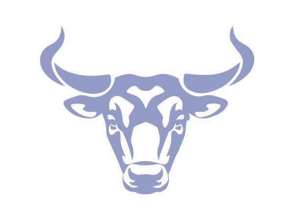 Blue Bull Logo - Blue Bull Machinery