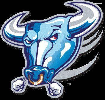 Blue Bull Logo - Blue Bulls | Gary sport | Rugby, Rugby images, Blue