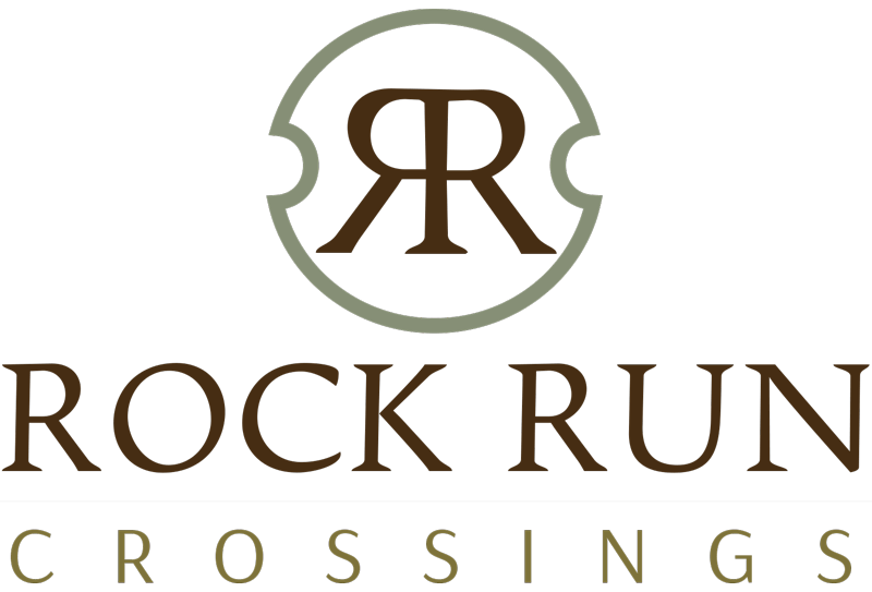 DSW Logo - dsw-logo | Rock Run Crossings