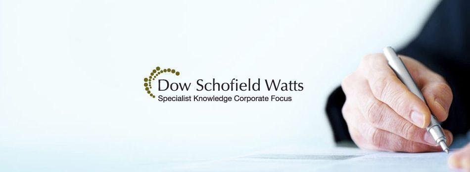 DSW Logo - Dsw Logo Design Creative Consultants