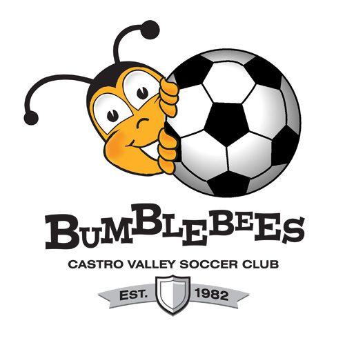 Bumble Bee Sports Logo - Bumblebee Program 2018 Valley Soccer Club