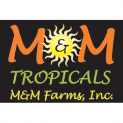 Orange Farms Company Logo - M & M Farm Inc | Produce Market Guide