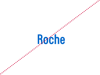 Roche Logo - Brand Centre - Logo