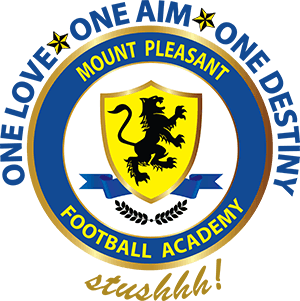 Yellow Ball Red Stripe Logo - Mount Pleasant logo Stripe Beer