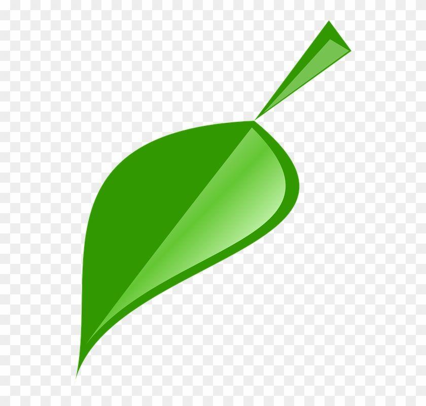Single Green Leaf Logo - Picture Leaf - Single Neem Leaf Logo - Free Transparent PNG Clipart ...