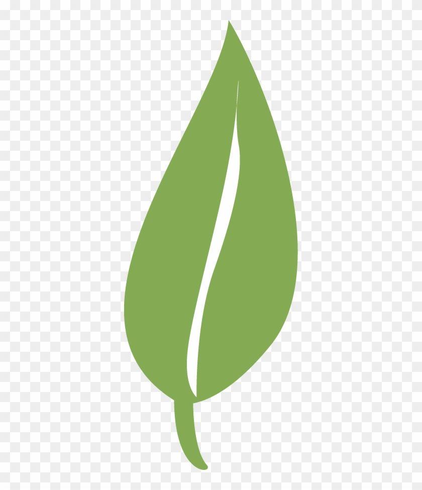 Single Green Leaf Logo - Single Leaf Green Leaf Png Transparent PNG Clipart