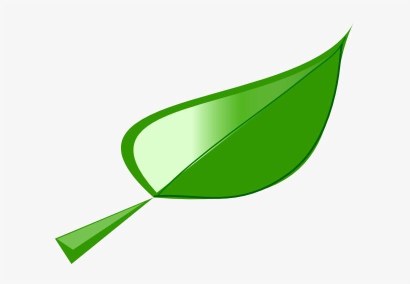 Single Green Leaf Logo - Single Green Leaf Clip Art Transparent PNG Download