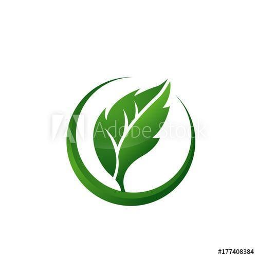 Single Green Leaf Logo - Logo Single Floral Green Leaf this stock illustration